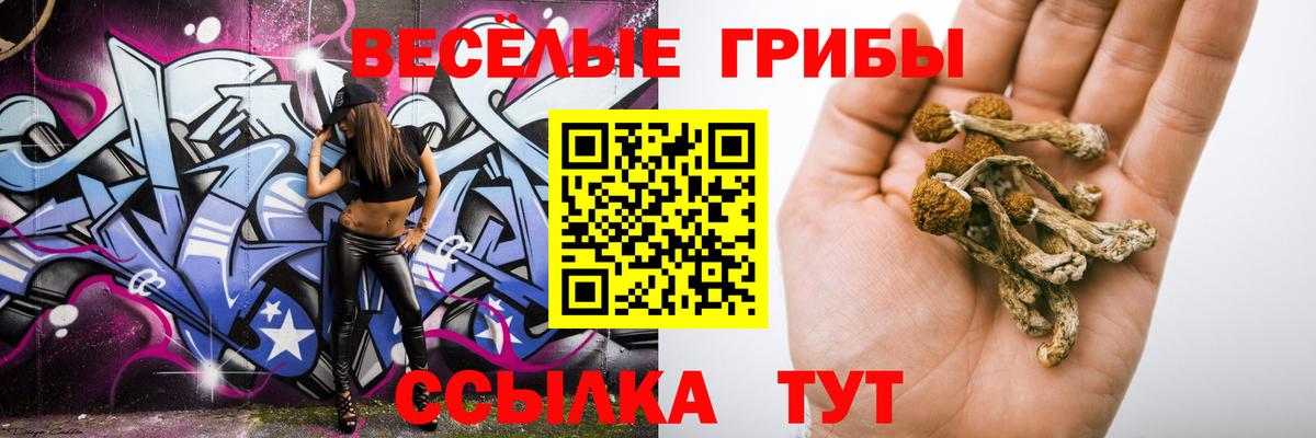 Псилоцибиновые грибы мицелий  Вход с VPN  Новоалтайск 